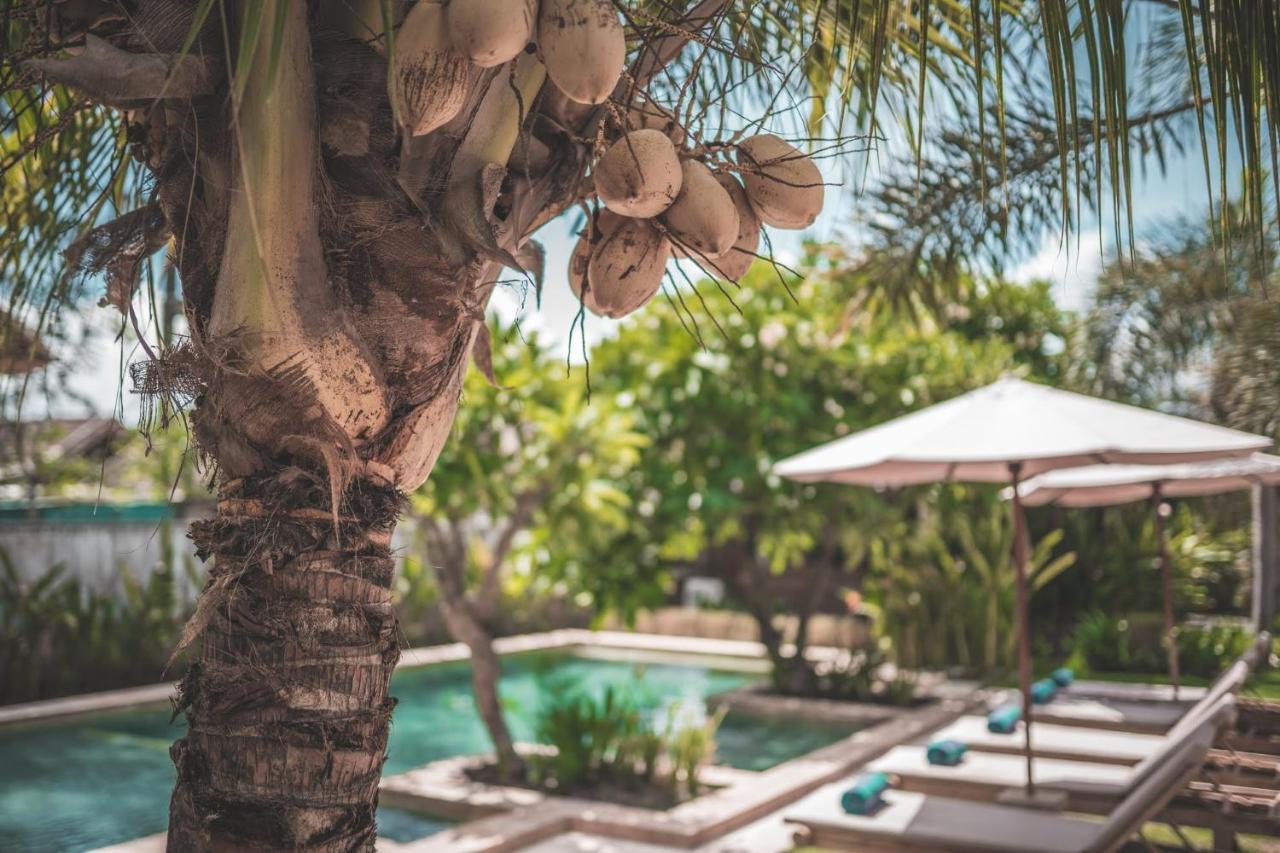 فندق Guava Garden غيلي تراوانغان المظهر الخارجي الصورة