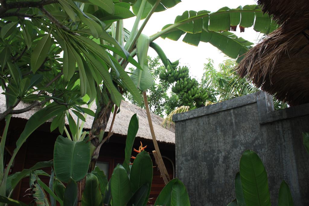 فندق Guava Garden غيلي تراوانغان المظهر الخارجي الصورة